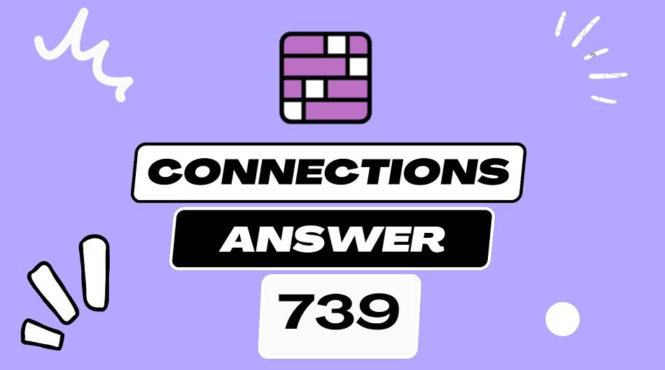 Daily Connections Hints and Answer 739 - Thursday June 19 2025